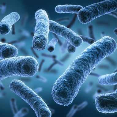 Legionella-1