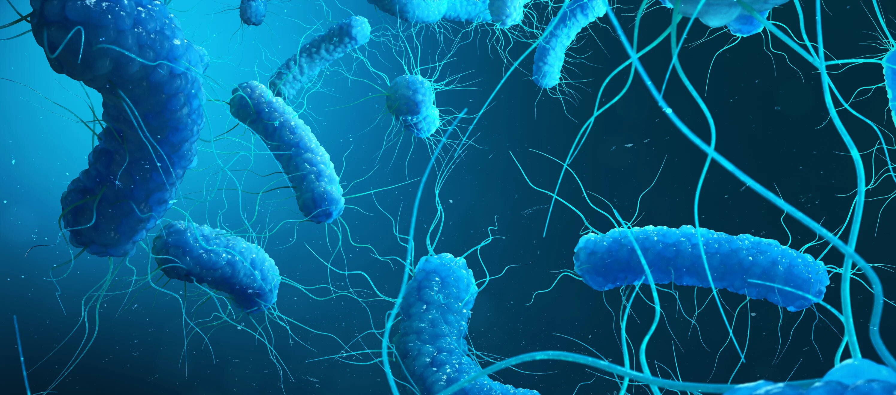 Legionella