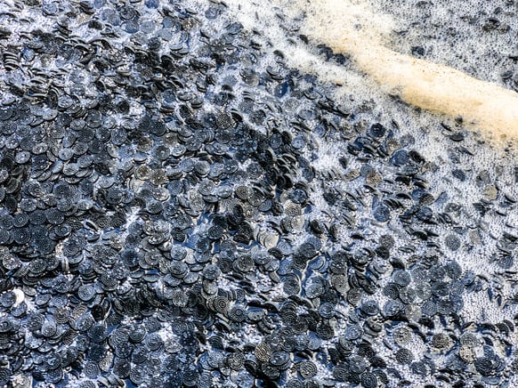 Thousands of MBBR biofilm carriers on top of wastewater